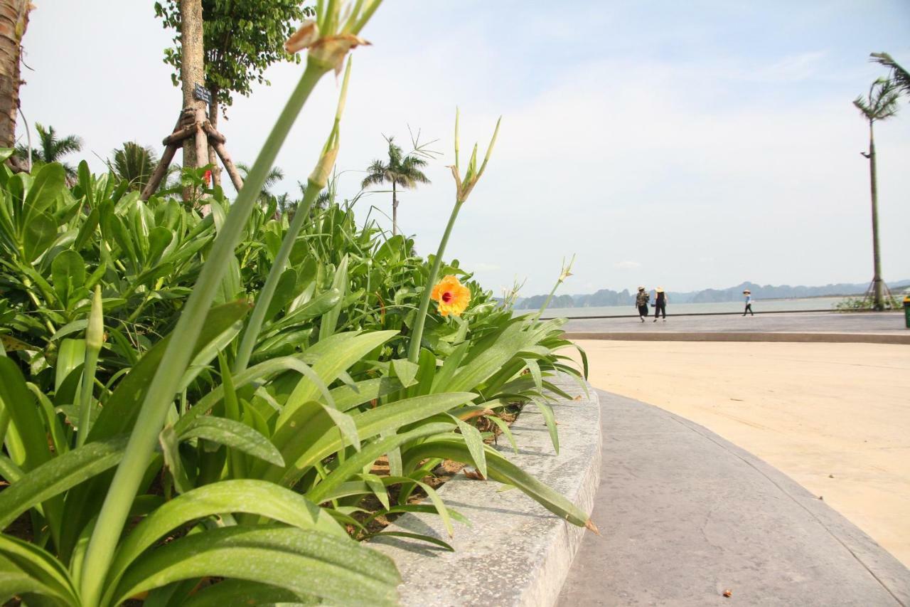 Kp Relax Halong Homestay Nan Giang Ngoại thất bức ảnh